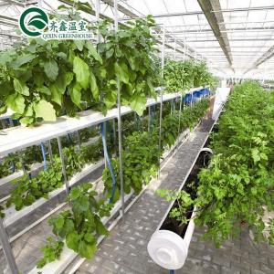 Quality Multi-Span Agricultural Greenhouses with PO Film Redefining Indoor Hydroponic Systems wholesale