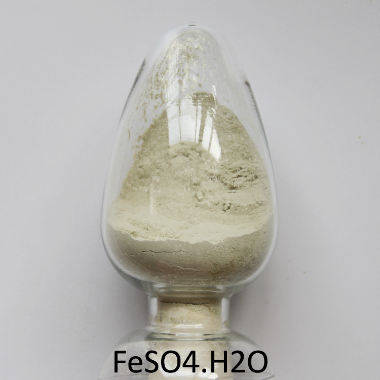 CAS NO 13463-43-9 Ferrous Sulphate Monohydrate For Food Additives