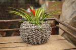 home dicorative wicker garden baskets willow flower plant baskets manufacture