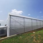 high performance High Tunnel Sawtooth Greenhouse Agricultural ISO9001