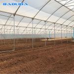 Large Size Multi Span Greenhouse / Commercial Pe Film Greenhouse Sheet Cover