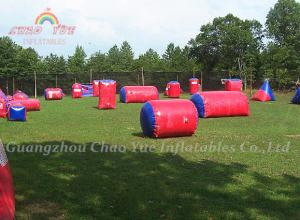 Quality Multi Player Inflatable Purple Paintball/ Paintball with Brand Logo wholesale
