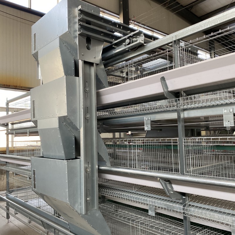 Poultry Farm Layer Cage H Type Full Automatic Chicken 6Tiers