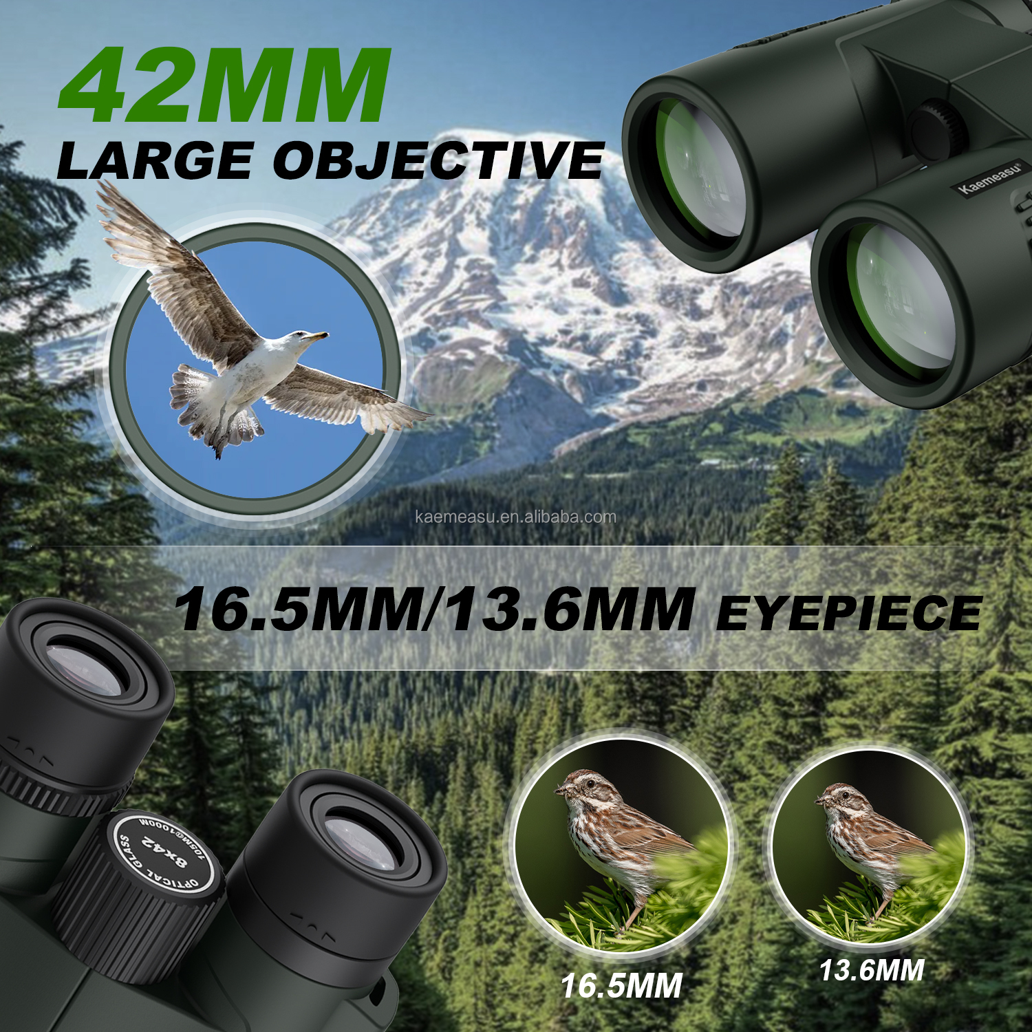 C 8X Compact 8X24 Binoculars Waterproof Lightweight for Camping Concerts Outdoor Sports Wildlife Viewing