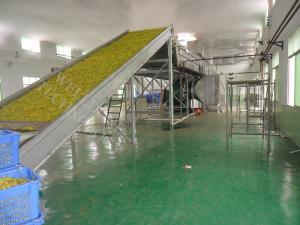 Quality Energy Saving Conveyor Belt Dryer Diesel Heating 0 . 3 - 40Ton 50 / 60HZ wholesale