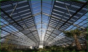 Quality Thermal Insulation Commercial Photovoltaic Greenhouses Customization Option Offered wholesale