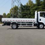 3m Length Steel Dry Freight Cargo Box Isuzu Cargo Truck