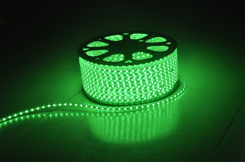 High Class SMD 5050 Single/RGB 220V/120V LED Strip Light High Bright Adversiting Decoration Lighting grow