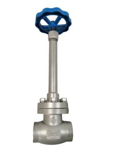 Quality DN25 PN50 CF8 Cryogenic Socket Weld Globe Valve wholesale