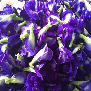 Hot Selling Flavored Dry Flower Tea Butterfly Pea Flower Tea