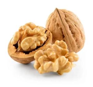 Quality 100% Natural Thin Skin Xin2 Walnut Best Price Wholesale Factory in Shell Hot selling agricultural products wholesale
