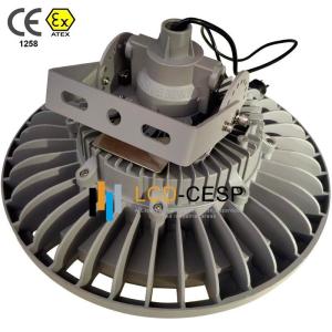 Quality 60000h Lifetime AC100V 100W Explosion Proof Drop Light wholesale