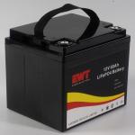 Long cycle life rechargeable 12v 60ah 768wh lifepo4 battery pack for scooter E