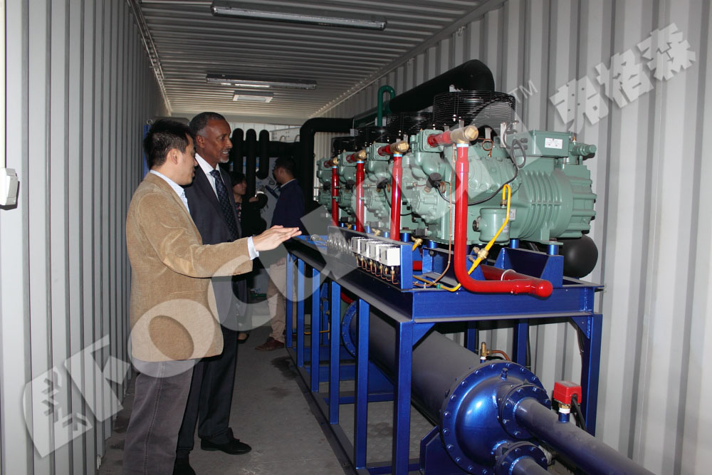 Commerical Type Fresh Water Flake Ice Machine Stainless Steel