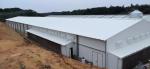 Galvanized Steel Structure Closed Type Environmental Controlled Commercial