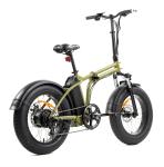 20 Inch Fat Tire Electric City Bike 48V 13Ah Lithium Battery 7 Speed Foldable