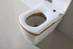110V / 220V Electric Smart Toilet Smart Bidet Toilet Automatic Deodorization