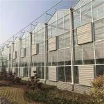 10x10 10x12 10x6 Aluminum Venlo Glass Greenhouse Grow Rose With Cooling System