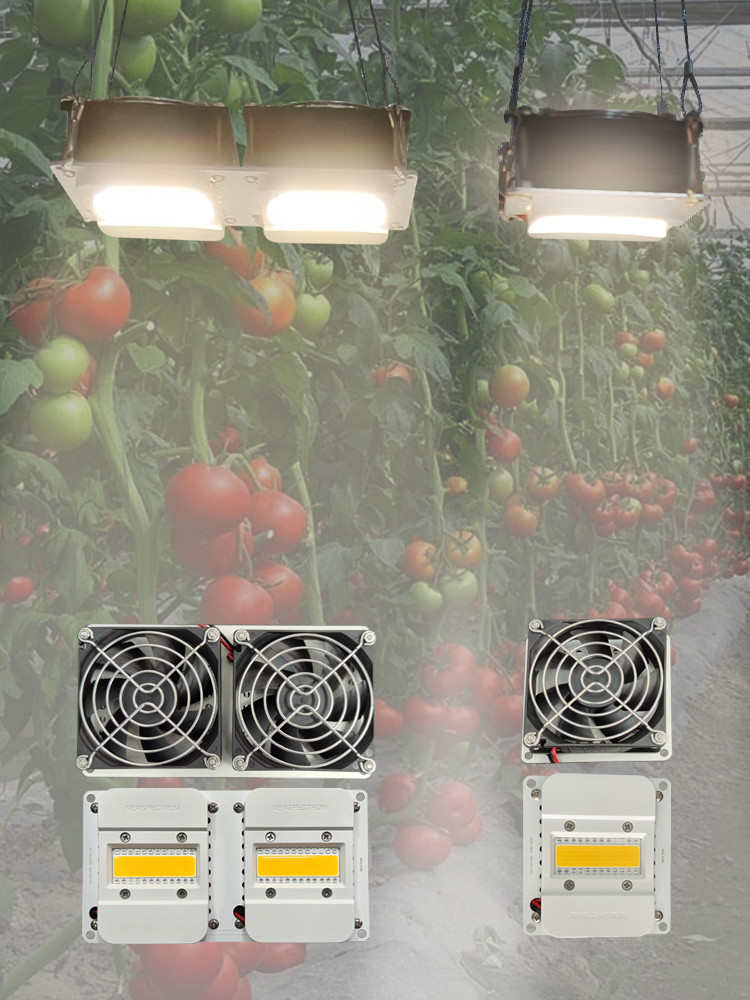 Light Bar Module COB Plant Light with Built-in Fan Cooling System for Home Gardeners and Greenhouse Growers