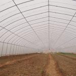 Mini Greenhouse Galvanized Garden Greenhouses for Commercial Vegetable Growing