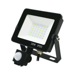 Quality Super Bright Security PIR LED Flood Lights SMD Chips 30W AC220V 110V wholesale