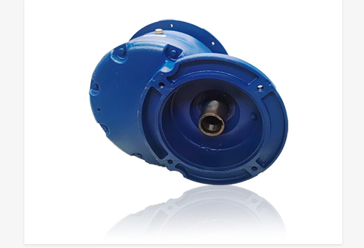 Customized Gear Reducer OEM For 219-273 Series Screw Feeder