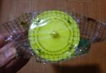 Disposable Fly Trap