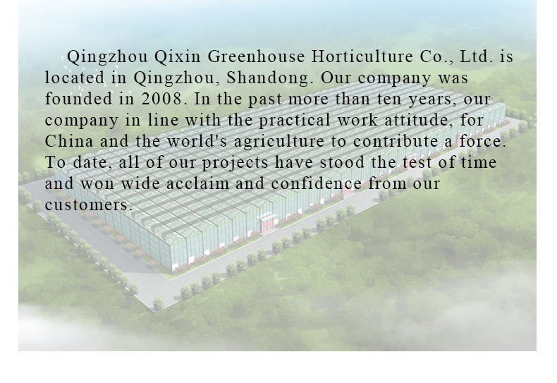Commercial Film Covered Single Tunnel Greenhouse for Maximizing Agricultural Output