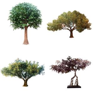 Quality ROHS 350cm Artificial Landscape Trees Fake Maple Tree For Airport wholesale