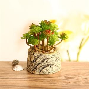 Quality Mini Succulent Artificial Potted Plants Strange Shape Green Platsic Material wholesale
