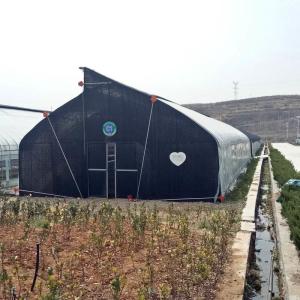 Quality 10m double framework mushroom greenhouse with black shade net and shelves outdoor wholesale