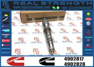 Quality Injector Nozzle Assembly 4902817 QSK19 QSK23 QSK60 Engine Series wholesale