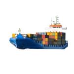 Special Service Sea Freight Logistics To Mexico With Collect Service