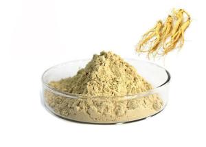 Quality Pharmaceutical 80% Panax Root Natural Ginseng Extract Powder wholesale