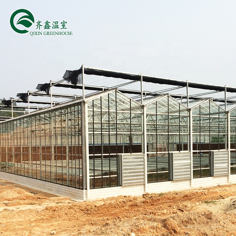 Plastic Film Covered Polytunnel Greenhouse with Hydroponic System and Ventilation