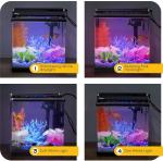 Smart 4 Gallon Desktop Betta Office Fish Tank
