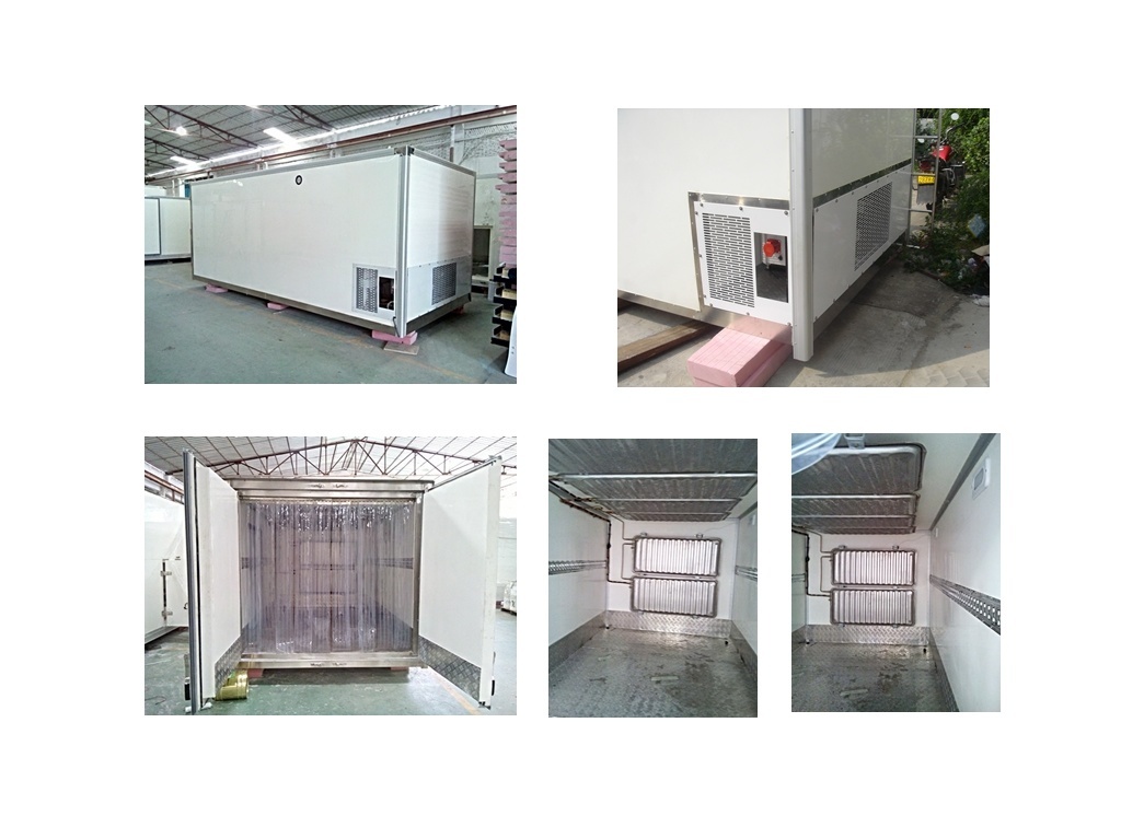 Transportations of Frozen Food Ice Cream Body