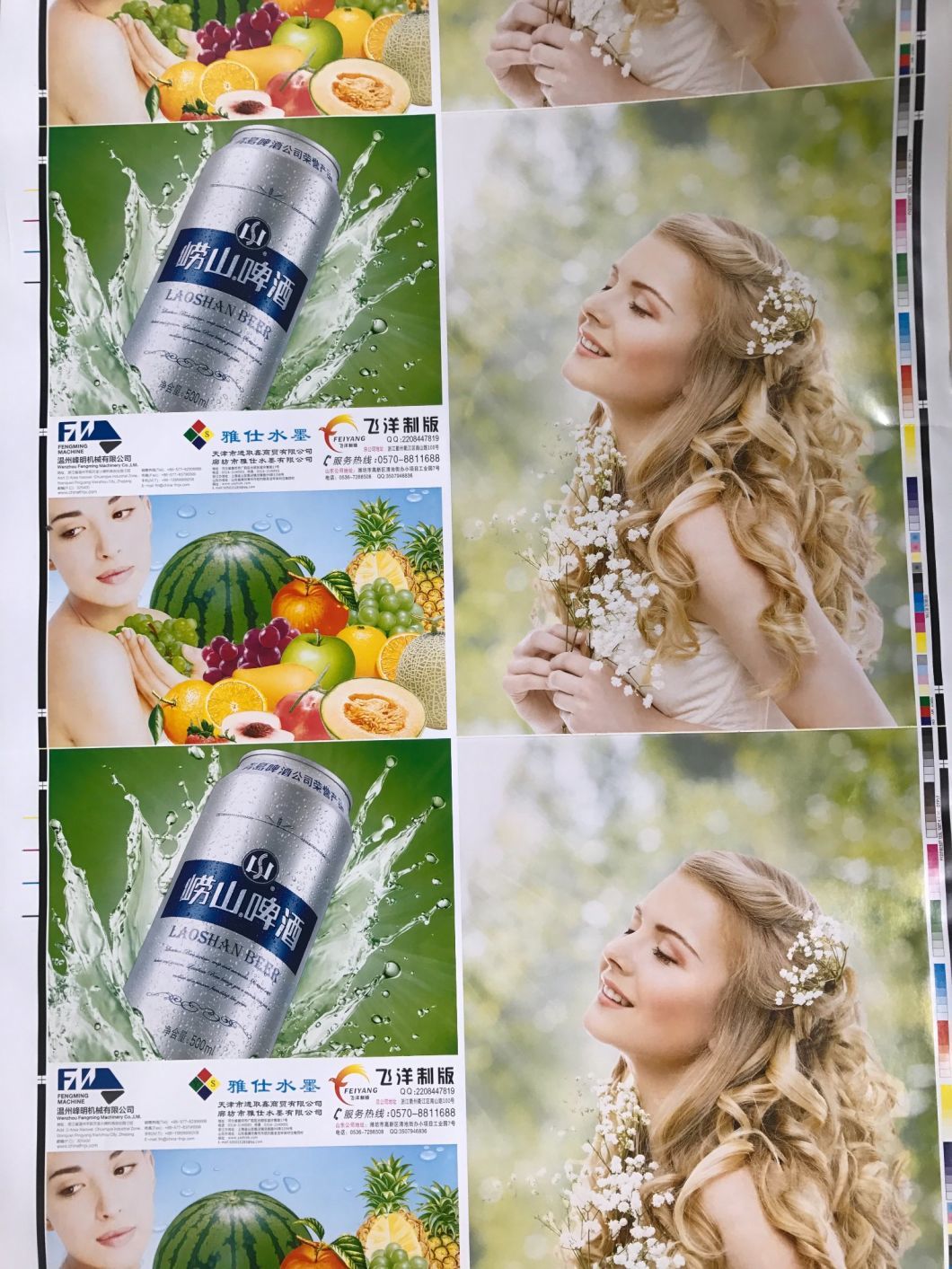Professional Flexo Printing Machine Made in Fengming Machinery