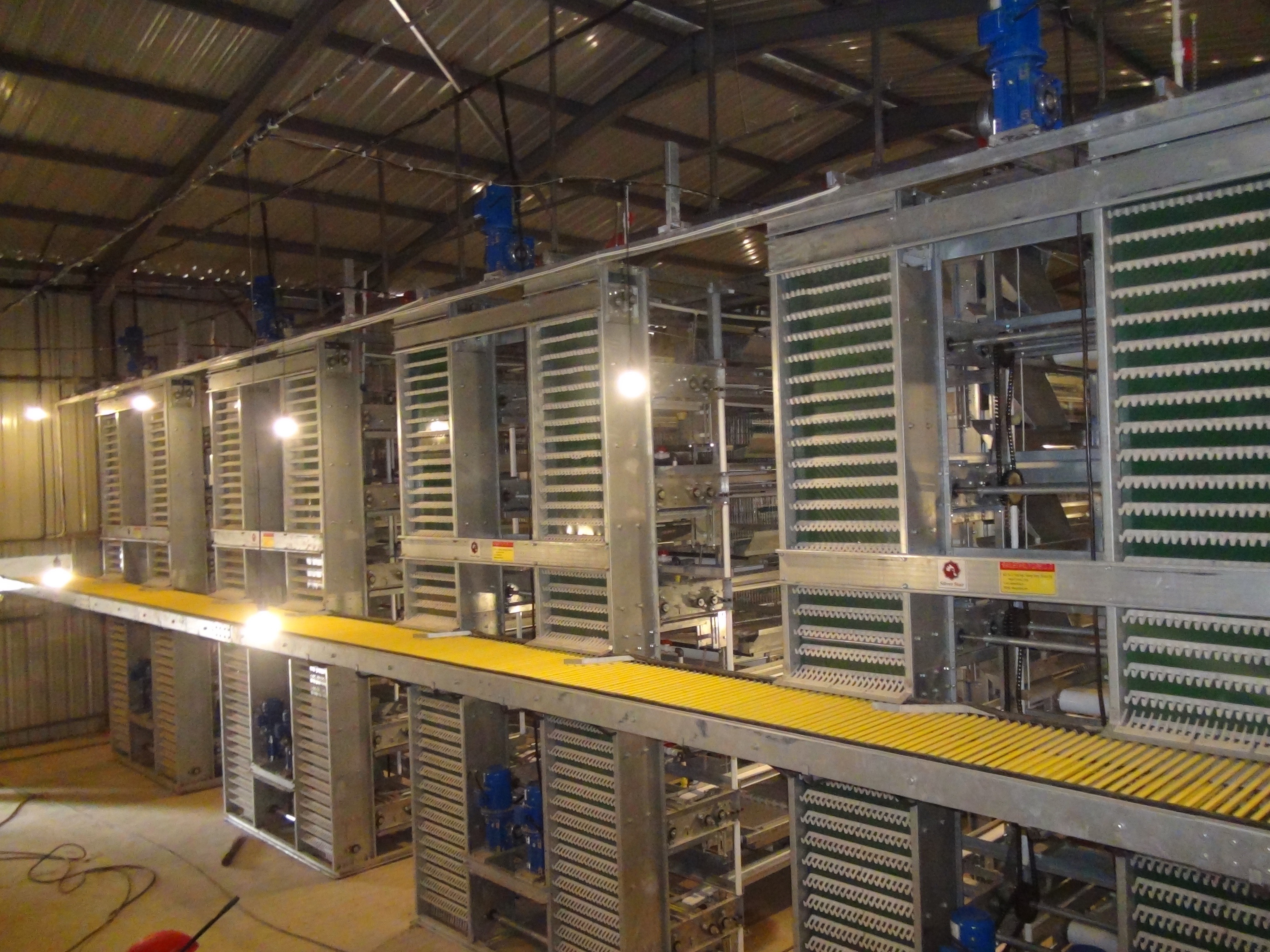 Egg Chicken Poultry Farm 3 Tiers 4 Tiers H Type Automatic Battery System Chicken Layer Cage