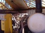 Used CAT 307D EXCAVATOR