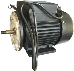 Quality 220V Electric Motor Water Pump IP44 Protection Class 20m wholesale