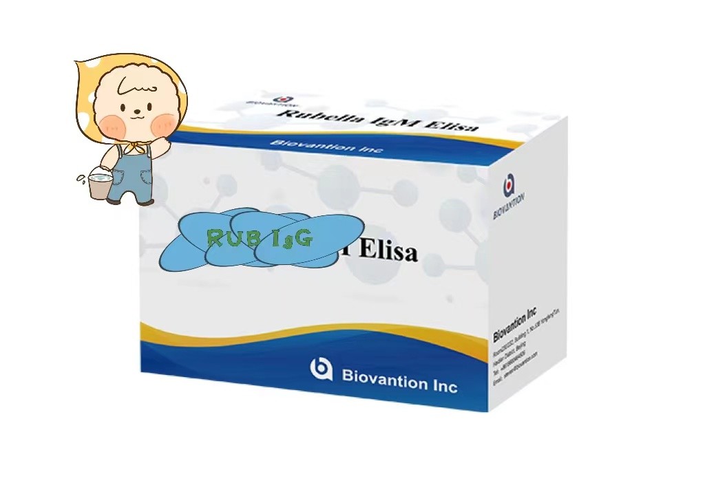 Ferritin Elisa Test Kit Enzyme-Linked Products Transport Time Short