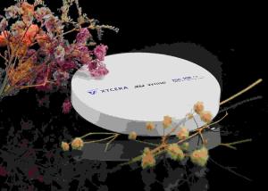 Quality 50% Transmission 750MPa Porcelain Dental Zirconia Blank wholesale