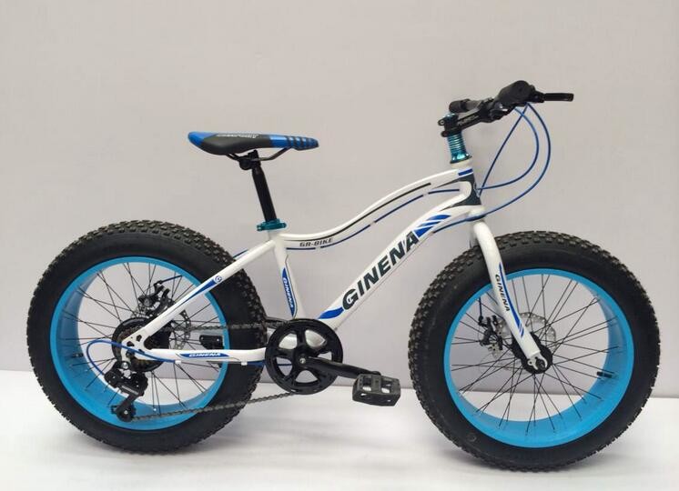 Fork Suspension Lightweight 26 Inch Fat Tire Bike