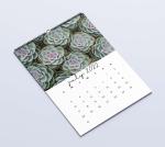 Matte Lamination Desk Calendar Printing 600-1000gsm Monthly Wall Calendars