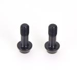 Black PVD Decorative Screws Non Standard Head Stainless Steel Screws Treated