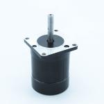 125W 57mm Round Shape Brushless Dc Motor Bldc High Torque Motor