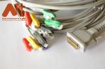 Bionet eCG trunk cable Cardiocare 2000 Cardiotouch 3000 Cardio 7 Machine