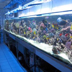 Quality 6mm 3mm Clear 93% Acrylic Sheet Aquarium Board For Swimming Pool wholesale