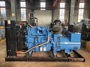 Quality 180 KW Super Perkins Generator Quick Repair Perkins 3 Phase Generator wholesale